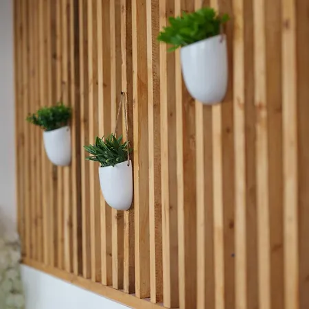 Appartement Le Fleur De Cerisier - Zmn Conciergerie